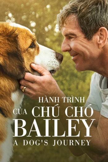 Hành Trình Của Chú Chó Bailey - A Dog's Journey (2019)