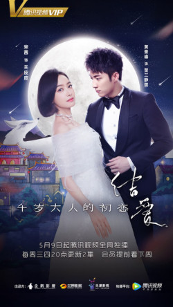 Kết Ái: Mối Tình Đầu Của Thiên Tuế Đại Nhân - The Love Knot: His Excellency's First Love (2018)