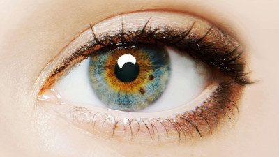 Nguồn Gốc - I Origins