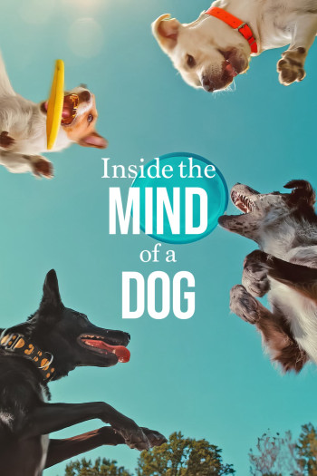 Những chú chó nghĩ gì - Inside the Mind of a Dog (2024)