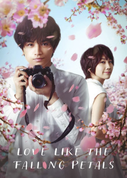 Tình yêu như cánh hoa rơi - Love Like the Falling Petals (2022)